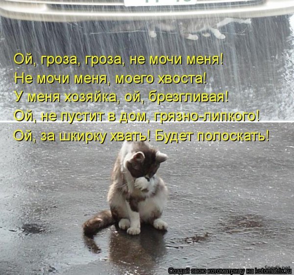 дождливое настроение