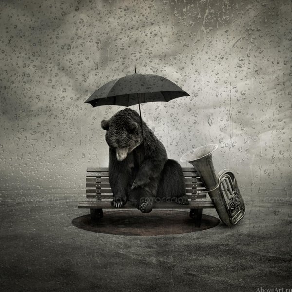 лешек буйновский leszek bujnowski