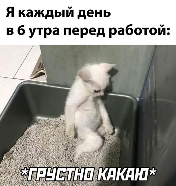 просто утро