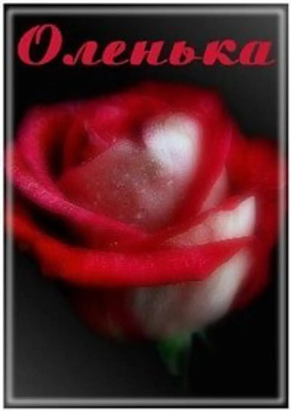 розы для олечки