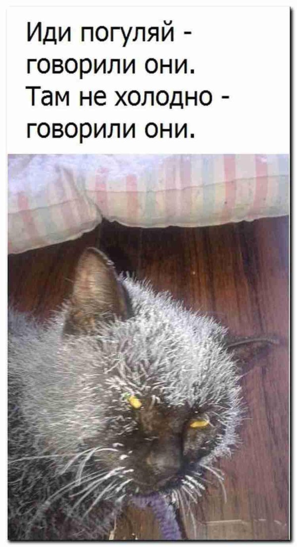 иди погуляй говорили они