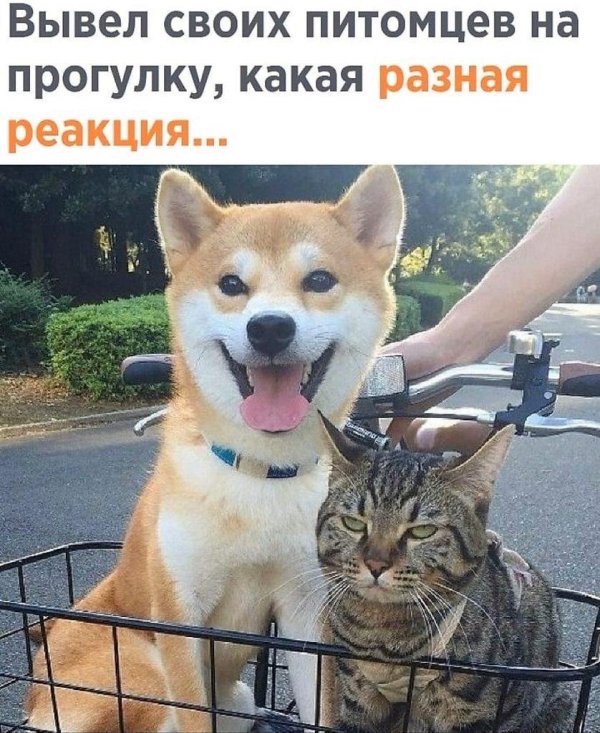 это фиаско братан