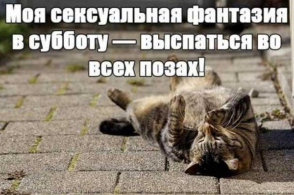 суббота приколы