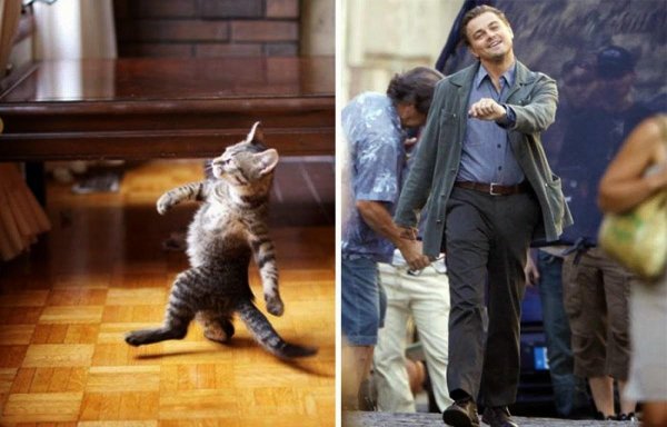 веселый ди каприо