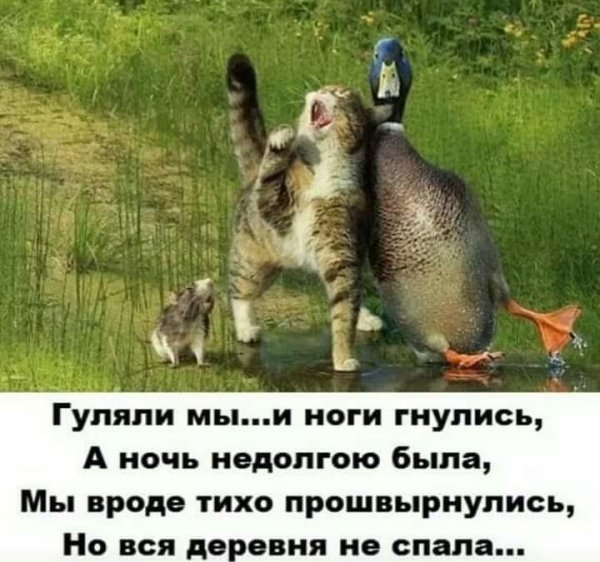 корпоратив юмор