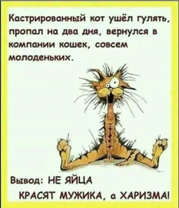 веселые высказывания