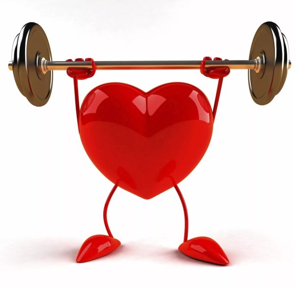 профилактика сердечно сосудистых заболеваний