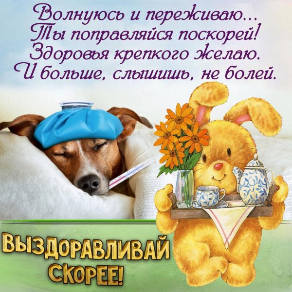 выздоравливай скорее