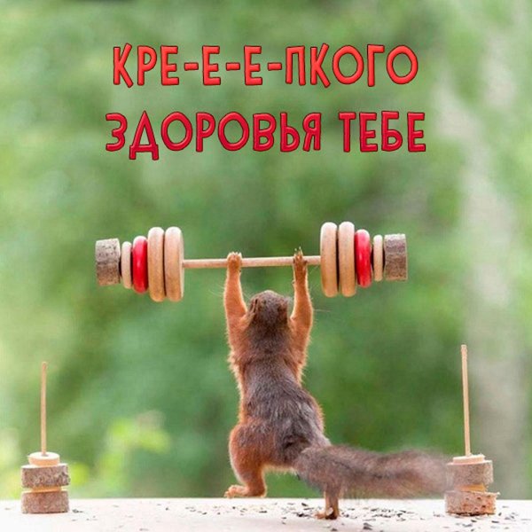 спортивные белки