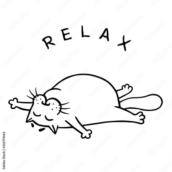 кот саймон спит