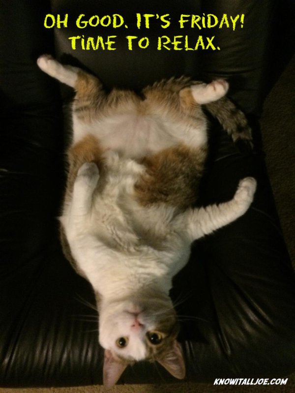 friday night funkin мемы