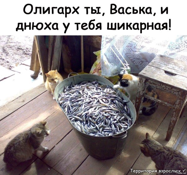Рыбы