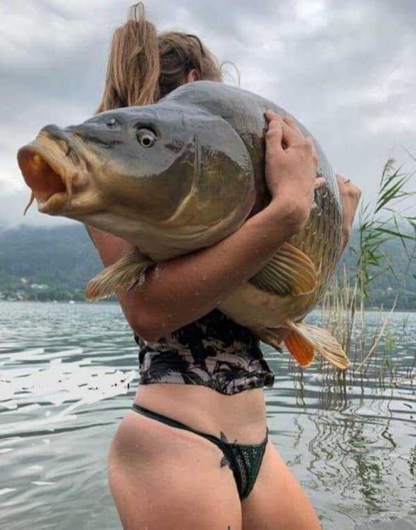 карп рыбалка