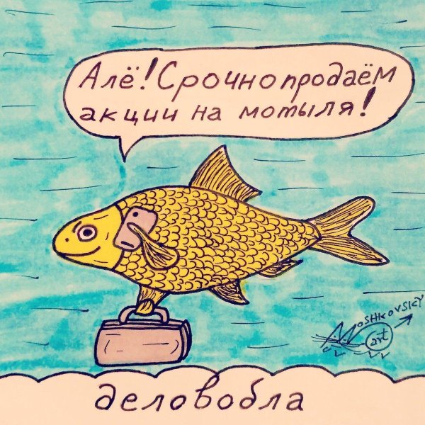 шутки про рыб