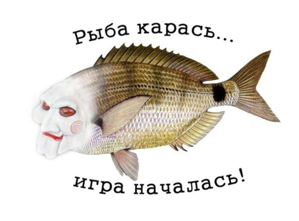 карась прикольный