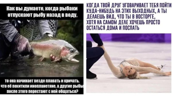 рыба юмор