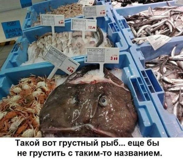 морские черти