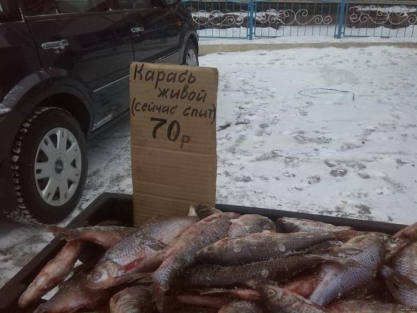 рыба свежая
