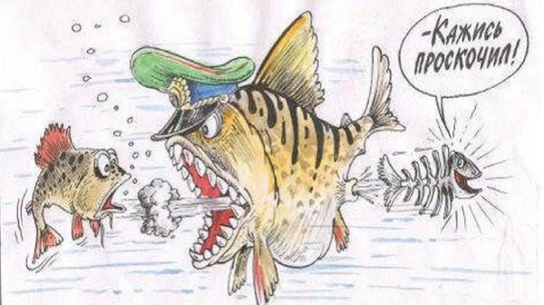 карась карикатура