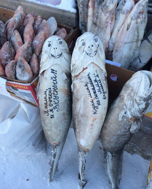 якутская рыба