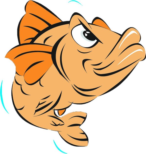 прикольные рыбки