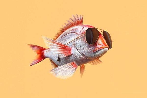 окунь смешной