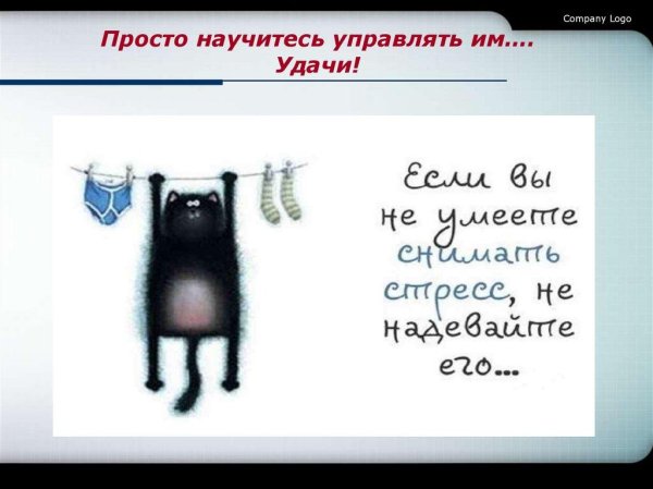 котëнок шмяк