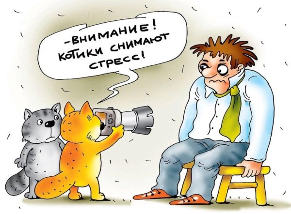 россия карикатура