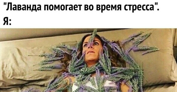 бухгалтерия юмор