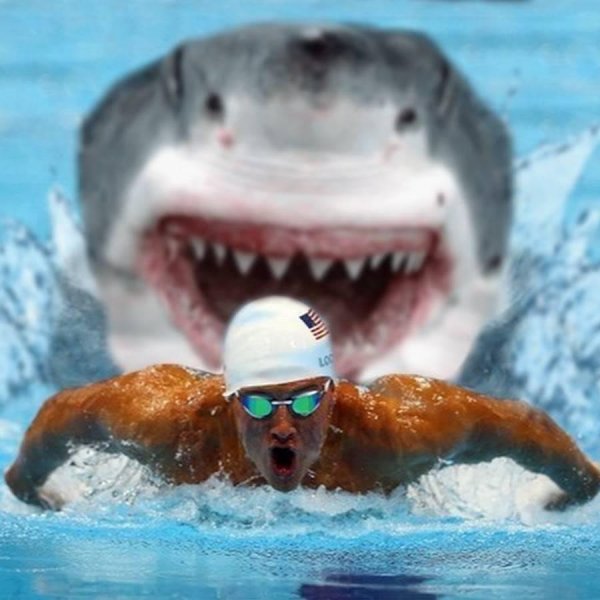 зубы у акулы