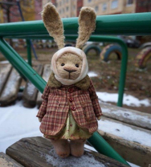 заяц в одежде