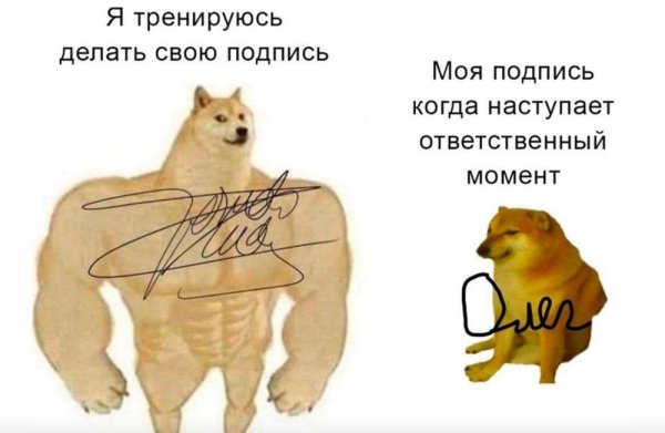моя подпись