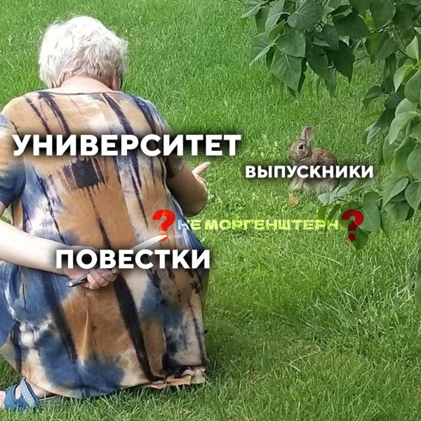 веселые шутки
