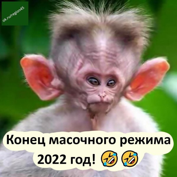 обезьянка маленькая