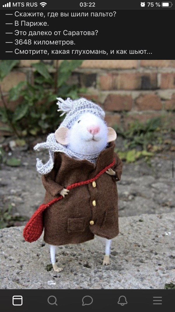 мышь в одежде