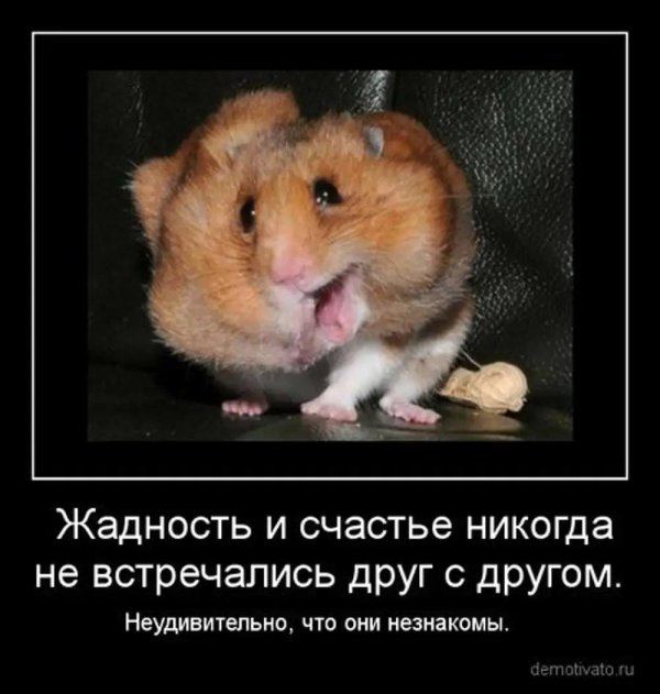 щеки хомяка