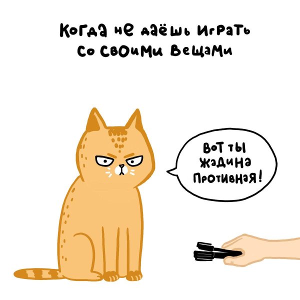 лакшери котакшери