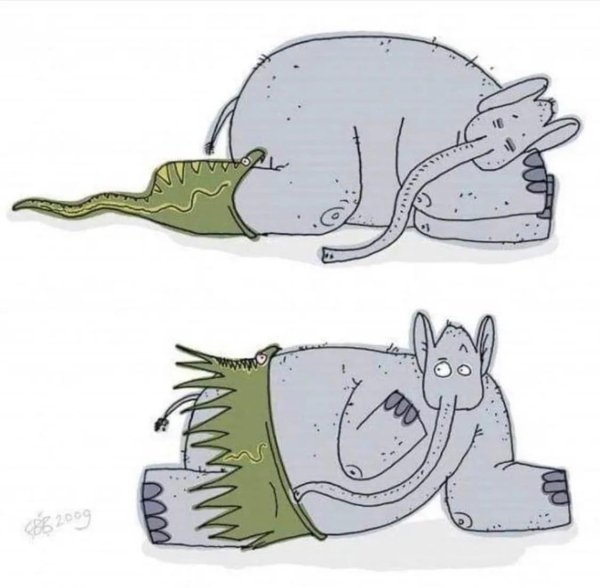 удав проглотивший слона