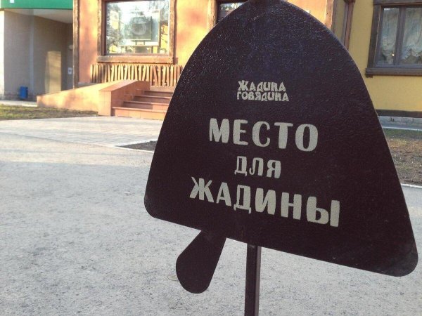 жадина говядина