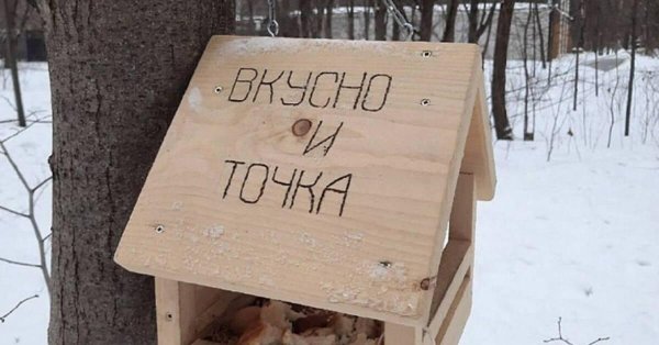 креативная кормушка