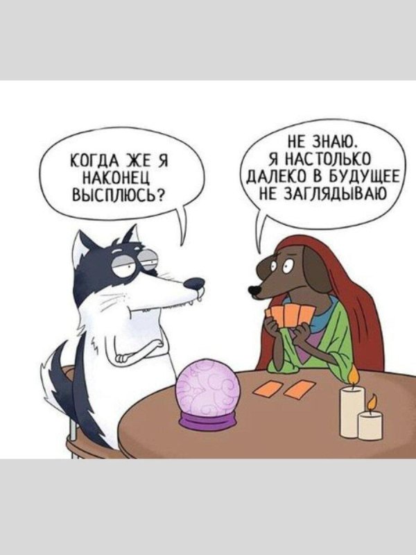 смешная хаски