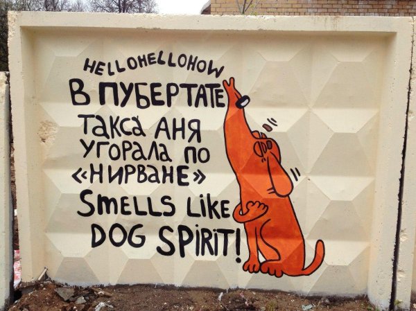 анастасия макарова