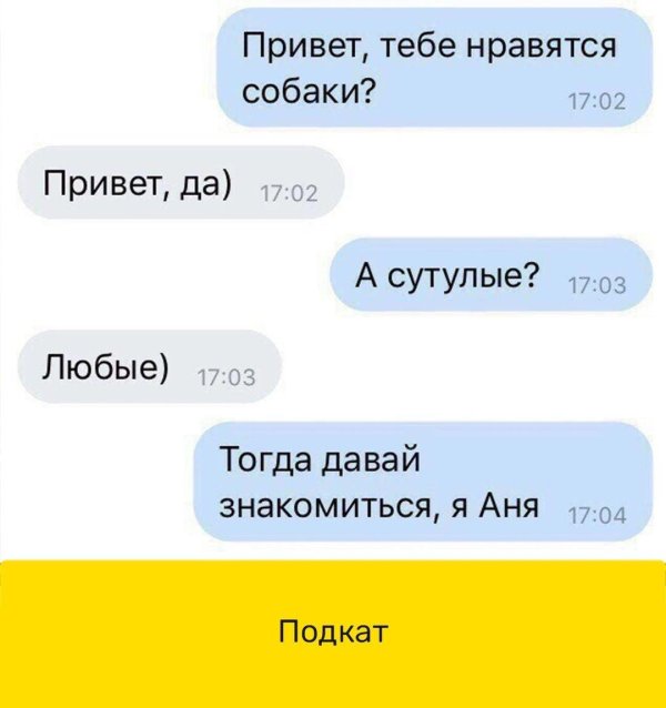 тебе нравятся собаки а сутулые