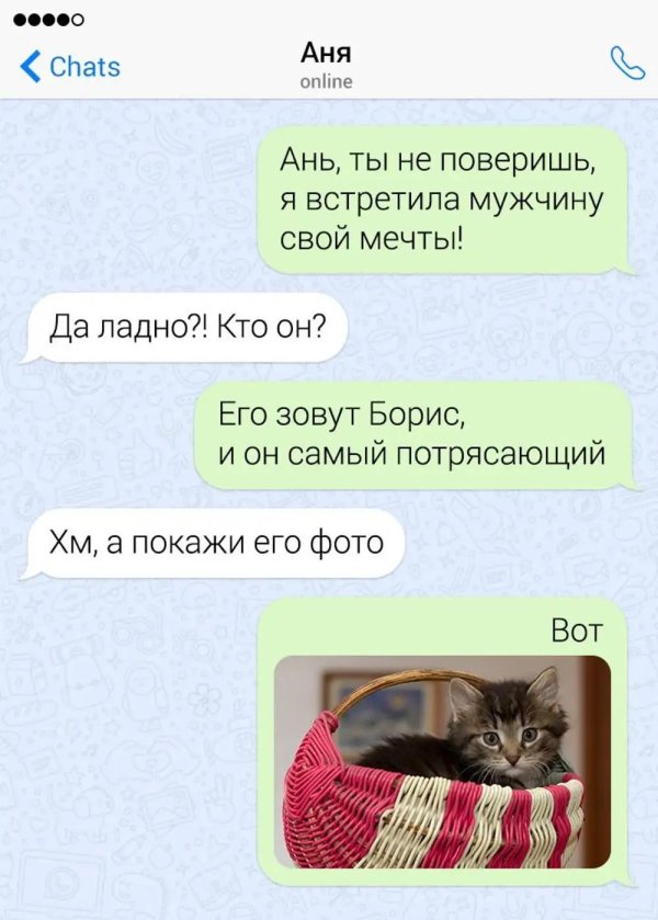 забавные переписки