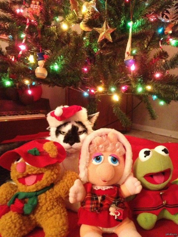 новогоднего настроения