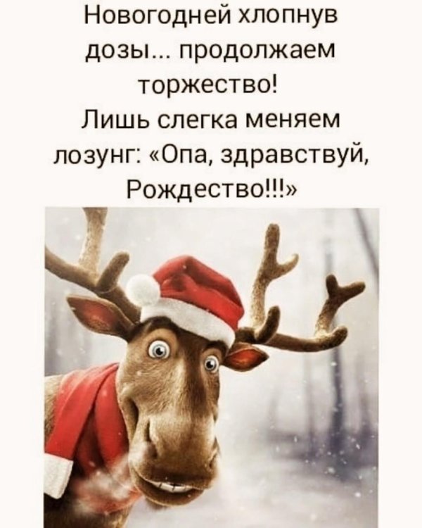 рудольф олень санта клауса