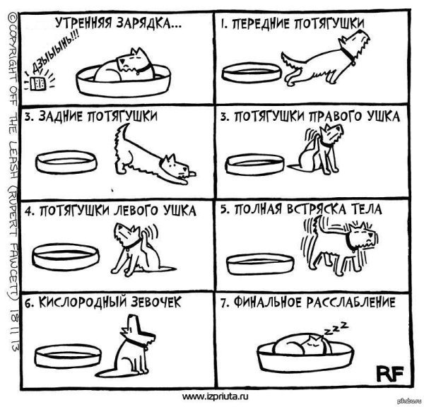 приколы комиксы