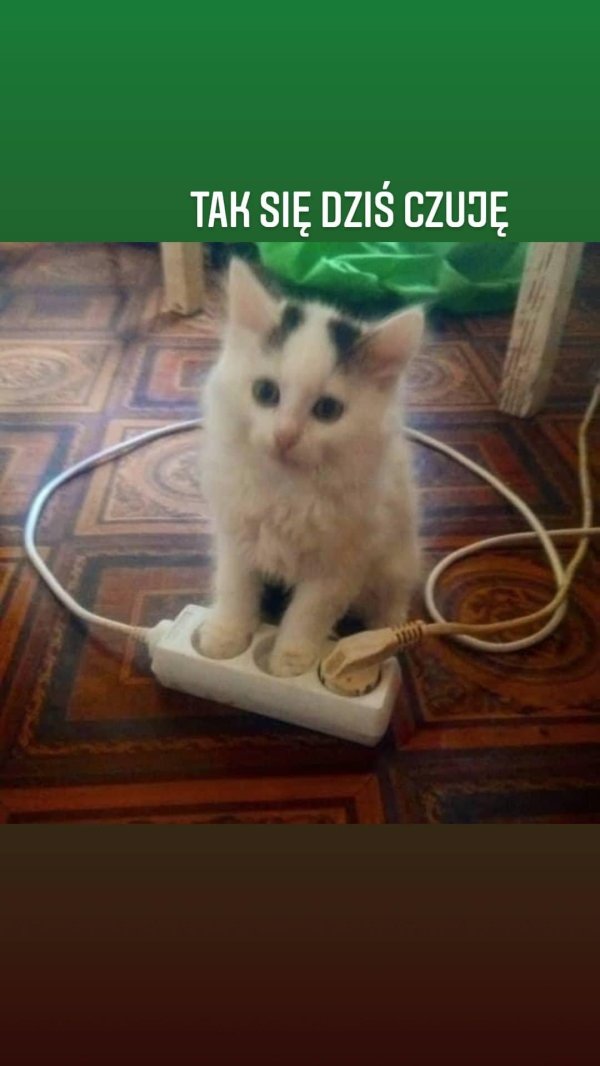 зарядка мем