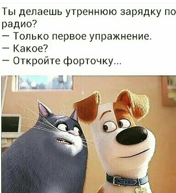 тайная жизнь домашних животных 2