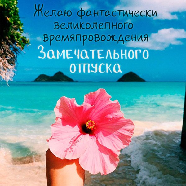 цветок тропический